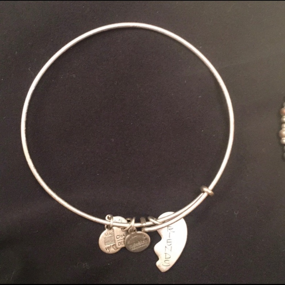 Alex and Ani Best Friends charm